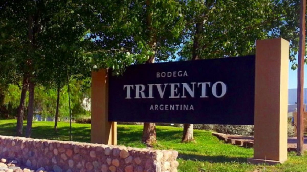 Trivento es la primera bodega en certificar el protocolo Covid-19 internacional