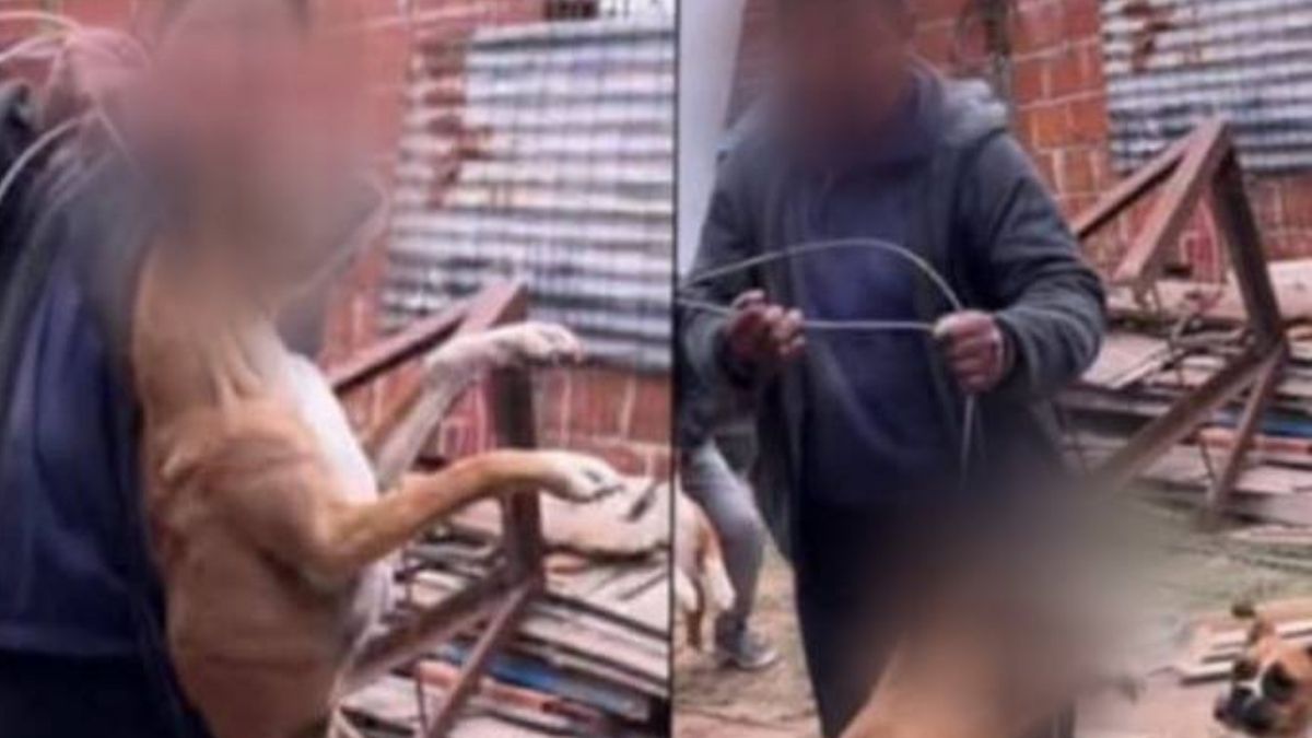 El acusado fue detenido en su casa de Los Hornos