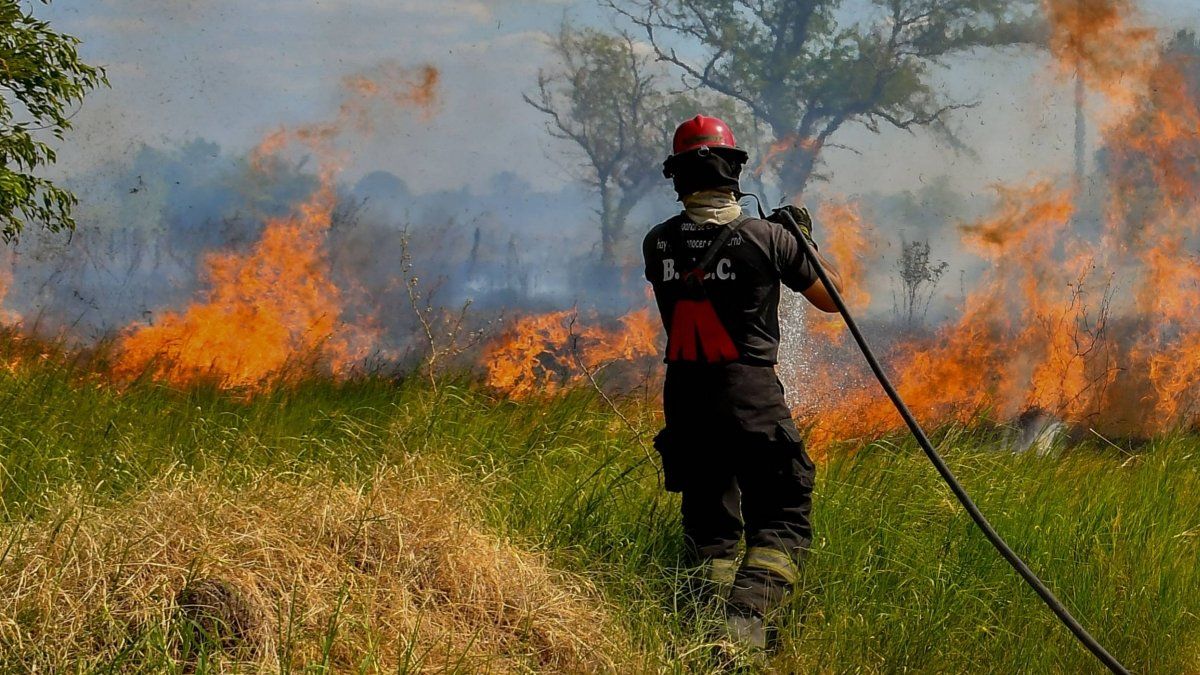El 9% del territorio de Corrientes fue consumido por los incendios.
