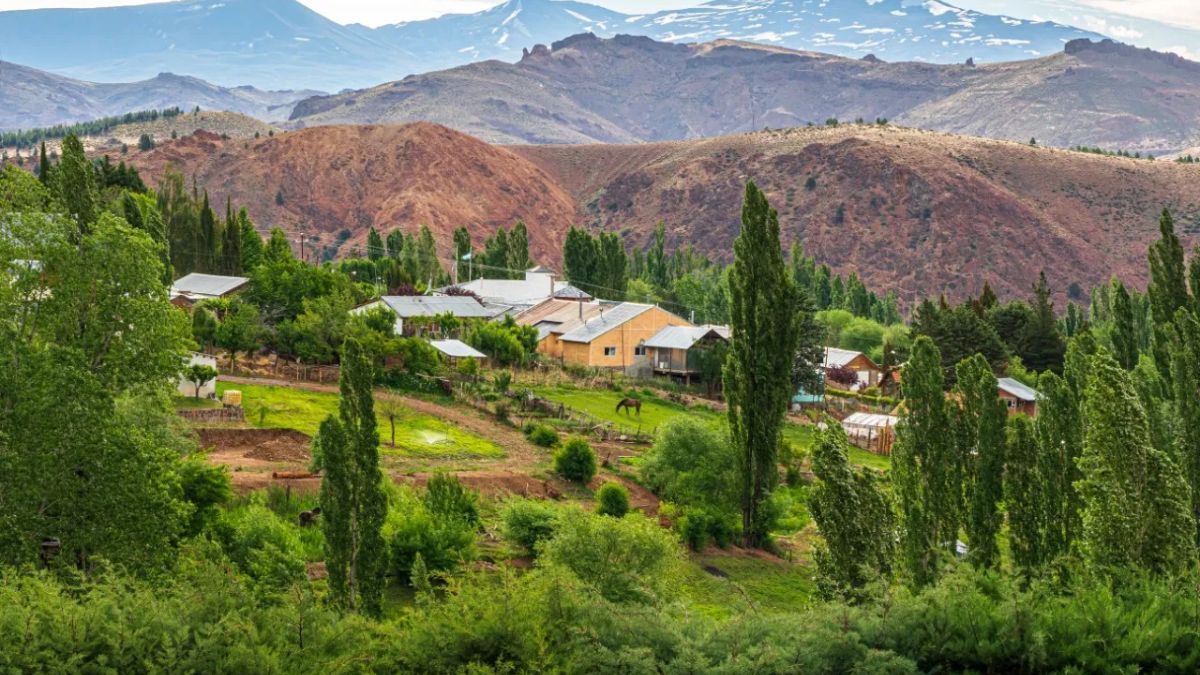 Paisajes patagónicos y mucha naturaleza: escapada a Huinganco