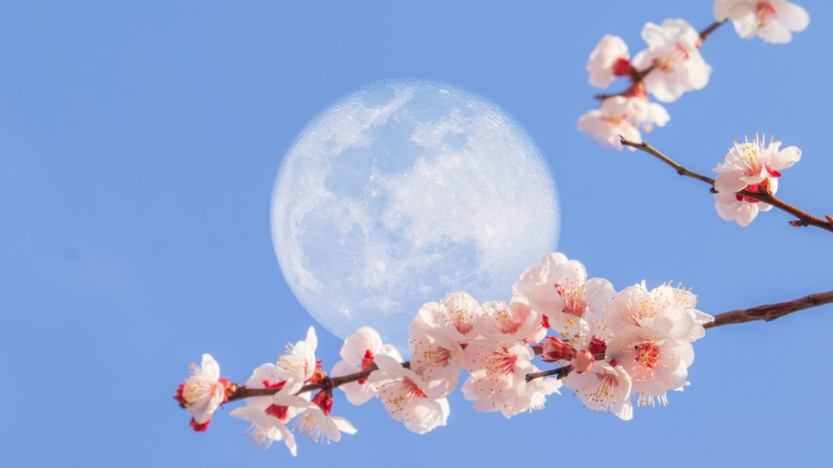 Septiembre 2025 llega con un eclipse lunar. Septiembre 2025 llega con un eclipse lunar. 