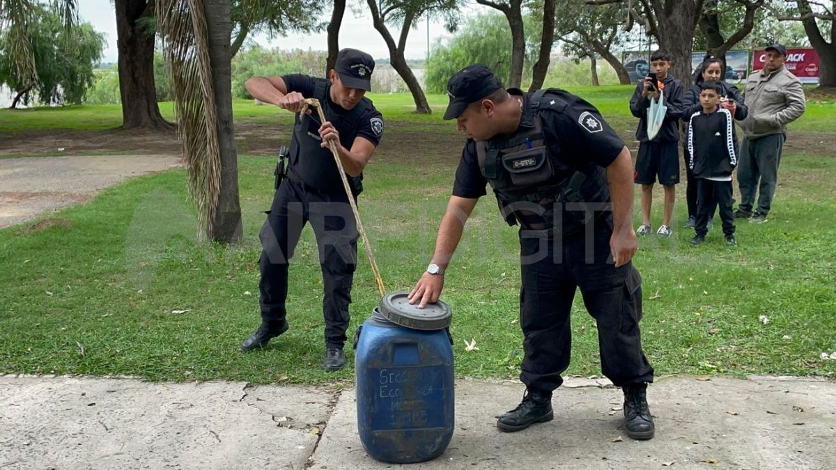 La Policía Ecológica capturó una yarará en la zona de la Costanera Oeste. La Policía Ecológica capturó una yarará en la zona de la Costanera Oeste.