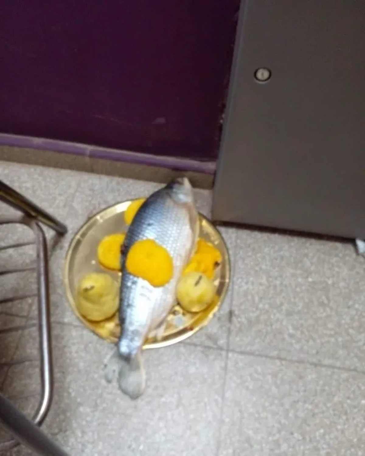 El pescado con frutas fue hallado al lado de un cajero automático en un banco de la capital de La Rioja.