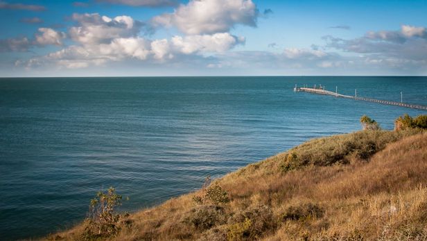 Las corrientes marinas del sur de la provincia de Buenos Aires favorecen la producción natural de ostras, consolidando a Los Pocitos como el principal polo cultivador de la región.