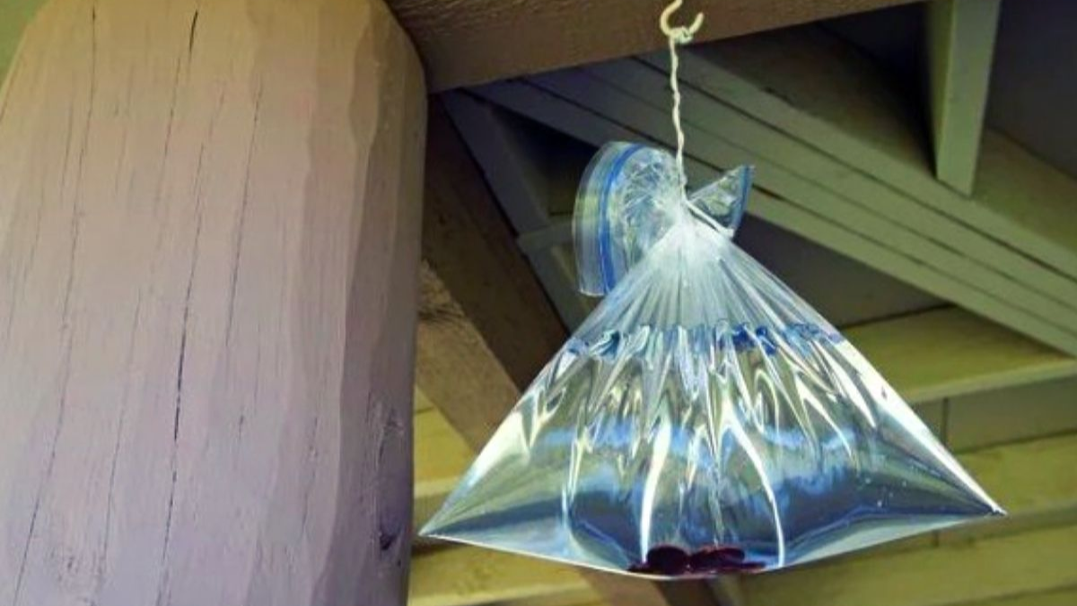 Bolsas con agua colgadas en casas peruanas