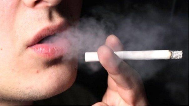 Por qué debes no debes fumar cerca de tus mascotas