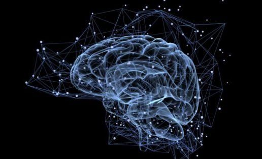 cerebro actividad 516x315.jpg
