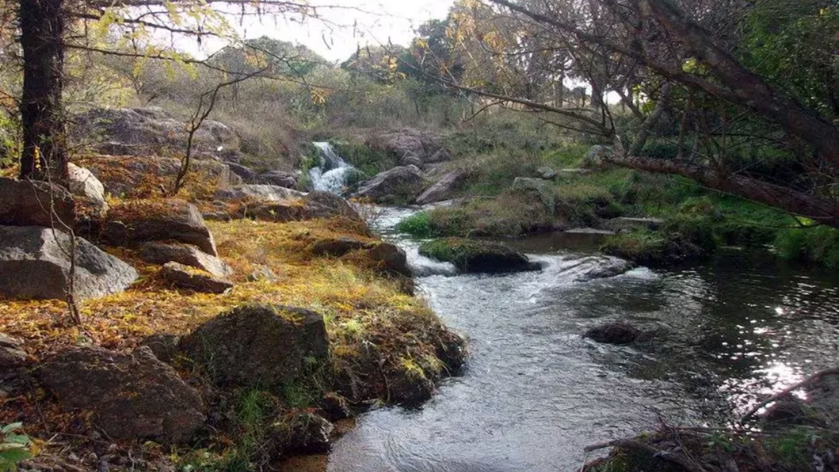 Escapada a Villa Tulumba, un pintoresco pueblo de Córdoba, para disfrutar de un fin de semana en familia. Escapada a Villa Tulumba, un pintoresco pueblo de Córdoba, para disfrutar de un fin de semana en familia.