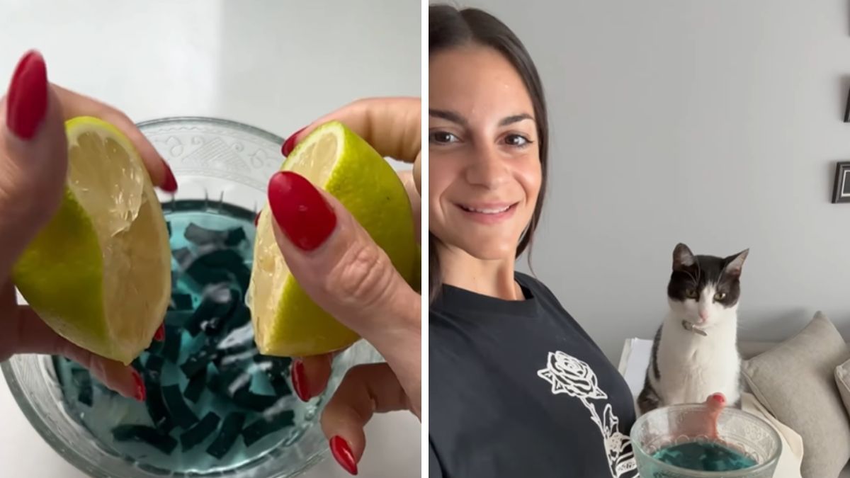 Una influencer reveló el truco definitivo para repeler mosquitos.