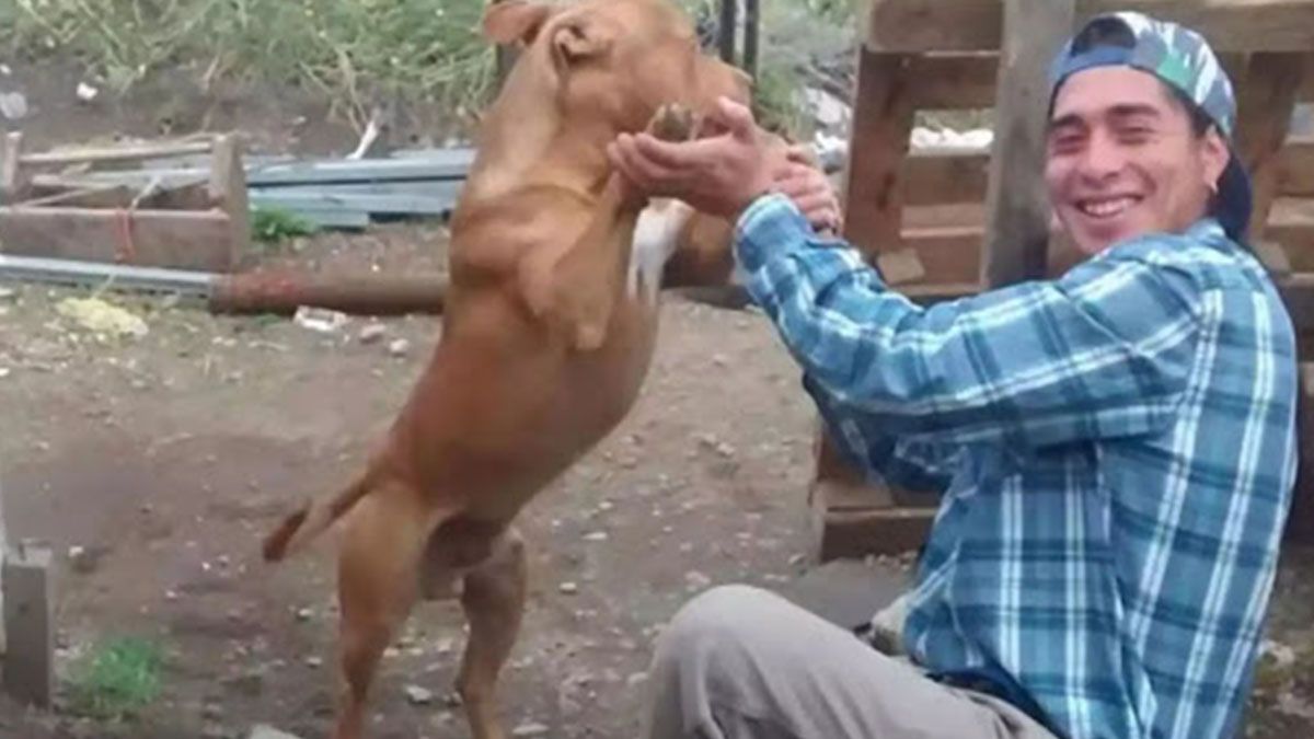 Un testimonio clave se sumó este martes en el juicio oral y público que se lleva adelante por el asesinato del joven mapuche Rafael Nahuel en 2017.