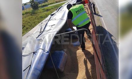 Los paquetes iban ocultos en el cargamento de soja Los paquetes iban ocultos en el cargamento de soja