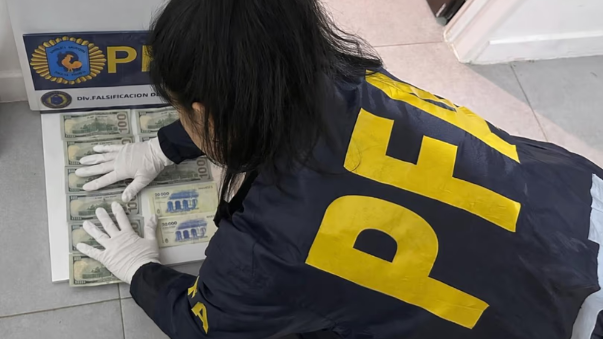 “Los Falsimuladores”: la PFA desbarató una banda que distribuía billetes falsos en Buenos Aires “Los Falsimuladores”: la PFA desbarató una banda que distribuía billetes falsos en Buenos Aires
