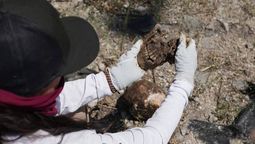 Los restos fueron encontrados en zonas que ya habían sido inspeccionadas, lo que despertó fuertes críticas a los operativos oficiales.