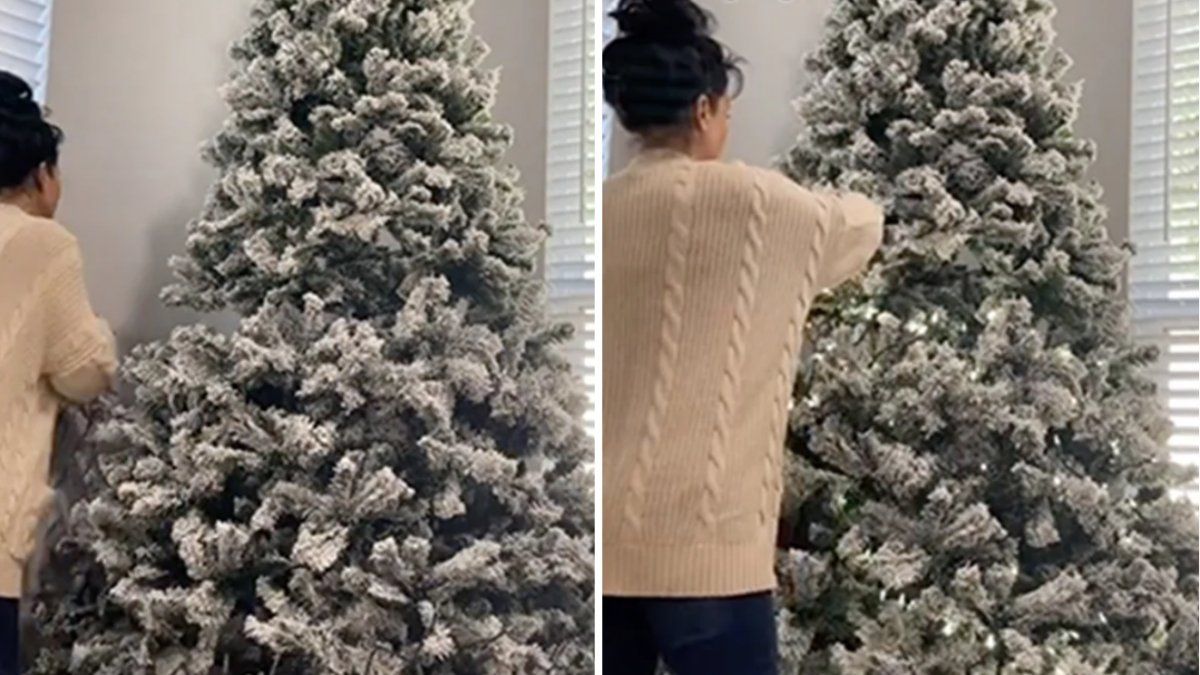 El clip se volvió rápidamente viral en la red social china.&nbsp;