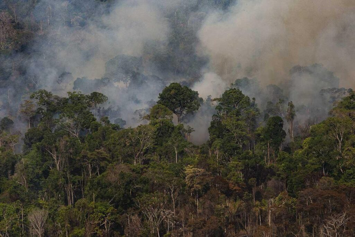 El Chaco Americano y la Amazonía están siendo arrasados por incendios forestales. El Chaco Americano y la Amazonía están siendo arrasados por incendios forestales.
