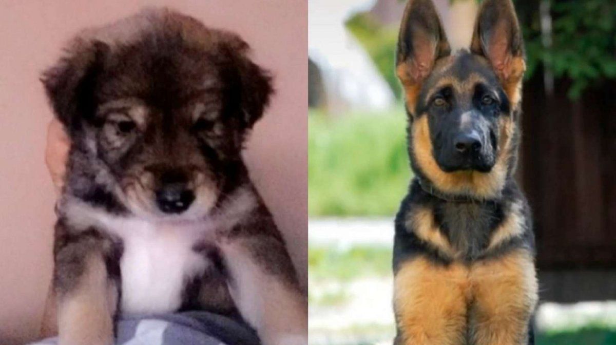 Con el paso de los meses