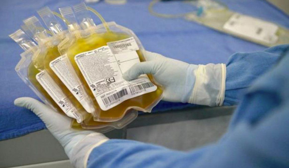 Senadores aprobar&aacute;n la ley para promover la donaci&oacute;n voluntaria de plasma sangu&iacute;neo de pacientes recuperados de covid-19.