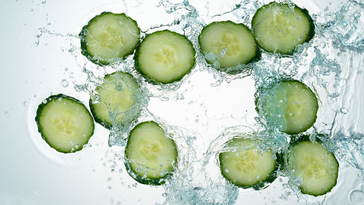 El pepino contiene compuestos naturales cuyo aroma repele a las plagas.