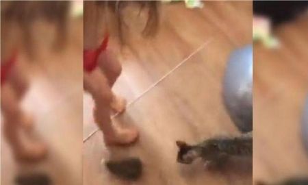 El tierno video de una nena y la horrorizada reacción de su mamá: Hay un conejito bebé El tierno video de una nena y la horrorizada reacción de su mamá: Hay un conejito bebé
