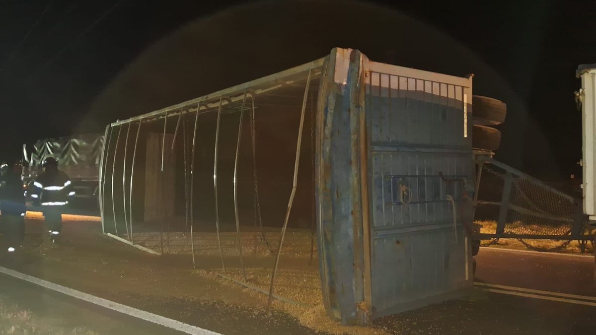 Tras el siniestro, la carga de cereal quedó desparramada sobre la calzada y el acoplado obstruyó parte del tránsito. Tras el siniestro, la carga de cereal quedó desparramada sobre la calzada y el acoplado obstruyó parte del tránsito.