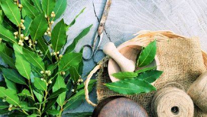 3 formas de limpiar tu casa de malas energías con laurel