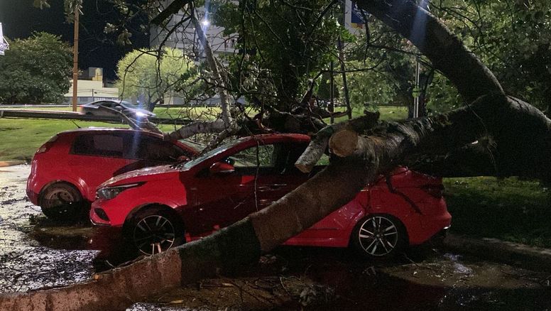 Cortes de luz, árboles caídos y calles anegadas: lo que dejó la tormenta de este domingo