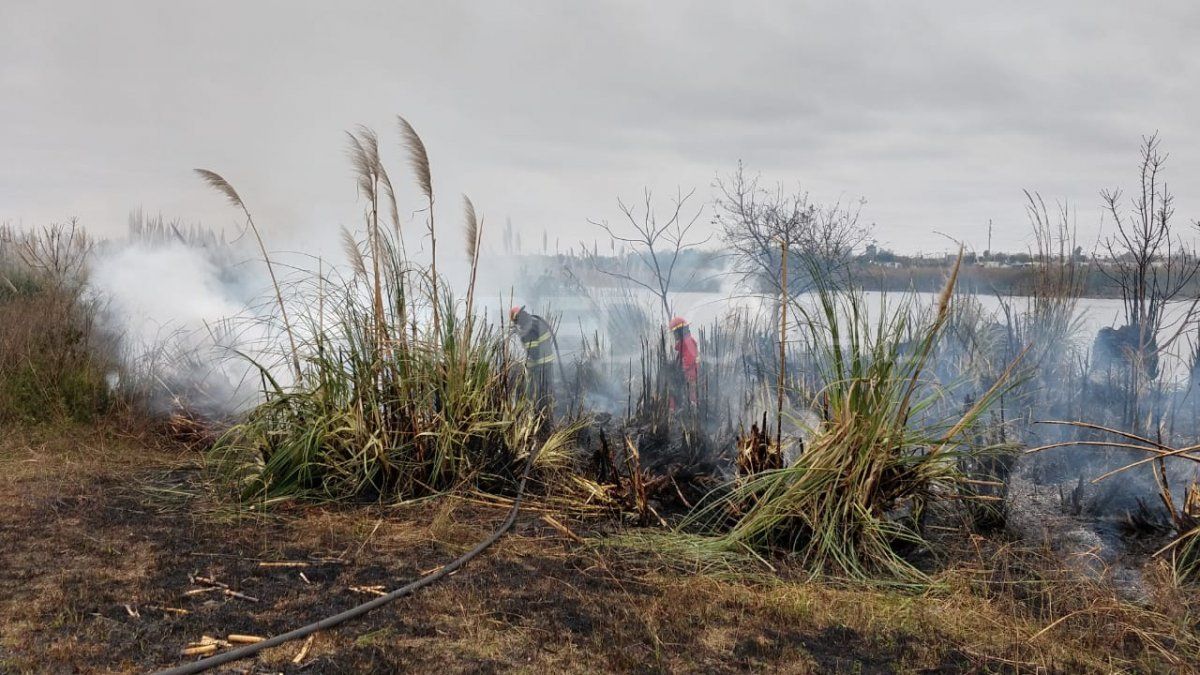 La Justicia de Santa Fe investiga de oficio los incendios de pastizales en el departamento La Capital