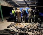Efectivos de Los Pumas secuestraron tres escopetas y 24 patos silvestres en un procedimiento por caza ilegal en el norte de Santa Fe. Efectivos de Los Pumas secuestraron tres escopetas y 24 patos silvestres en un procedimiento por caza ilegal en el norte de Santa Fe.