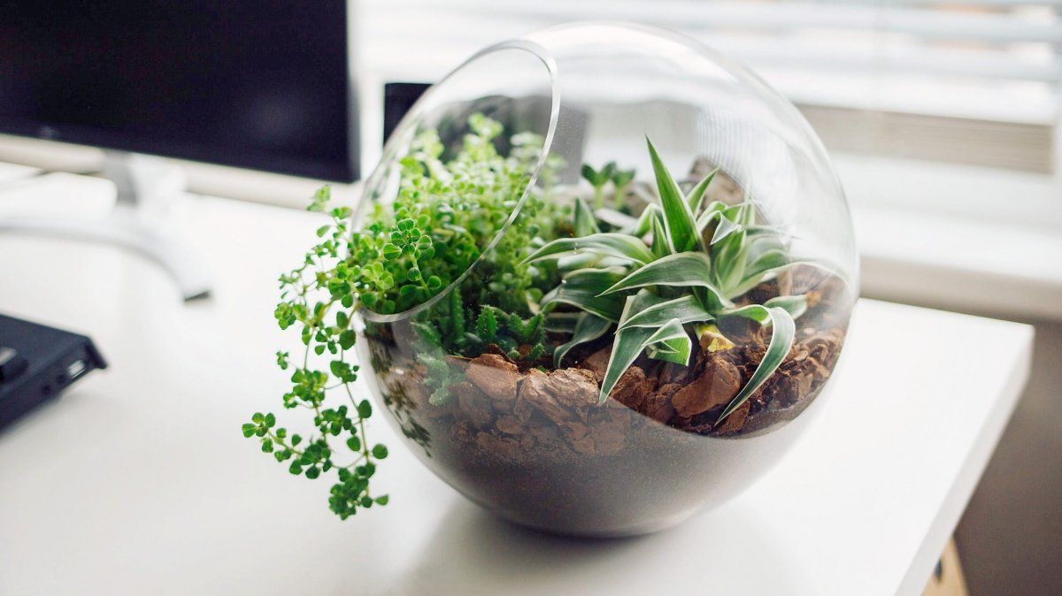 Tendencias de decoración