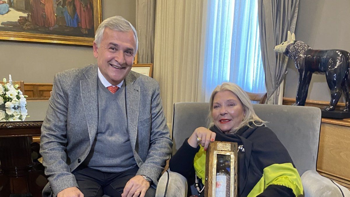 Carrió habló de la actualidad de Juntos por el Cambio tras reunirse con Gerardo Morales en Jujuy.&nbsp;