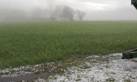 Cualquier aporte de agua resulta positivo luego de un enero con lluvias deficitarias. Cualquier aporte de agua resulta positivo luego de un enero con lluvias deficitarias.