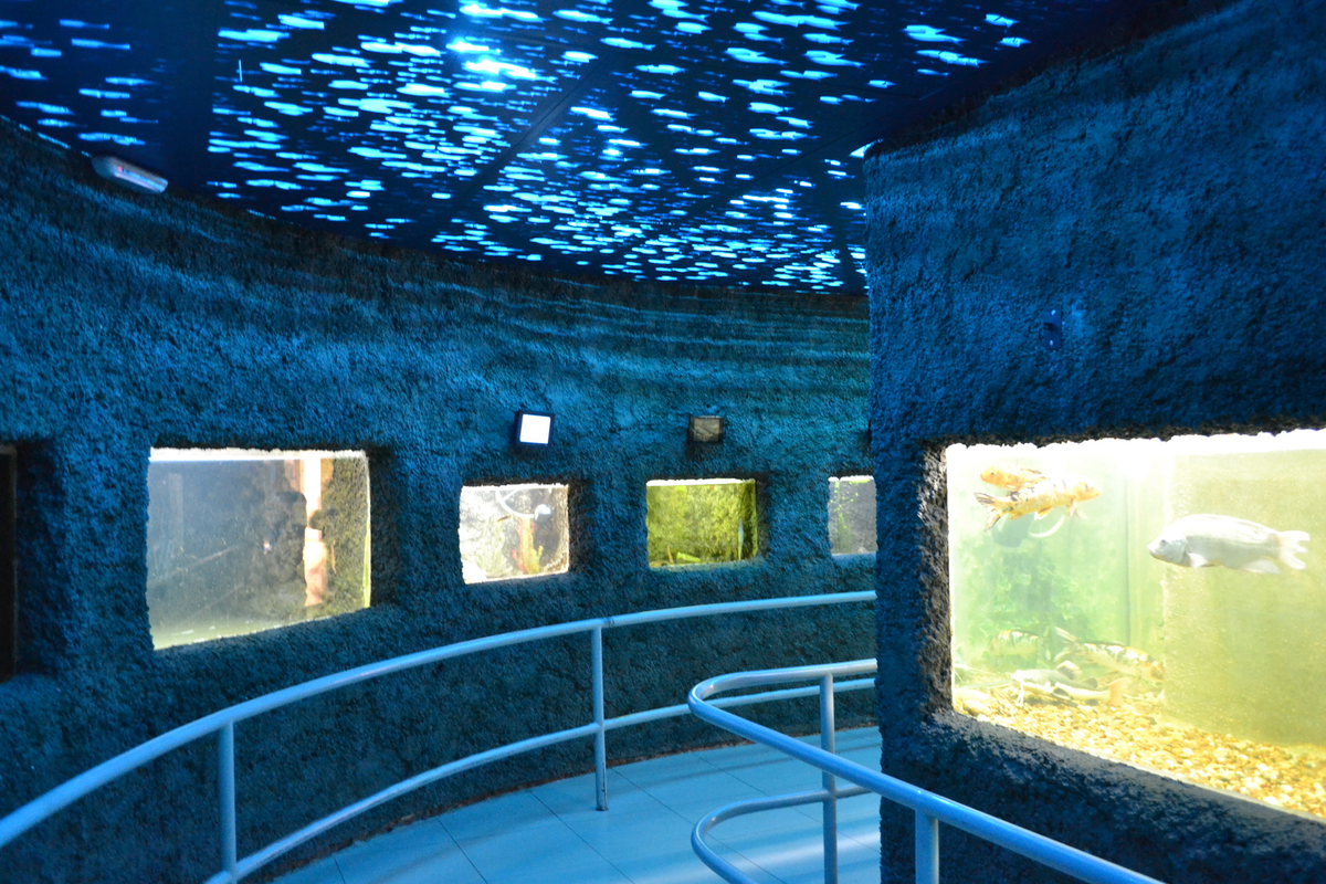Acuario y el serpentario de Mendoza