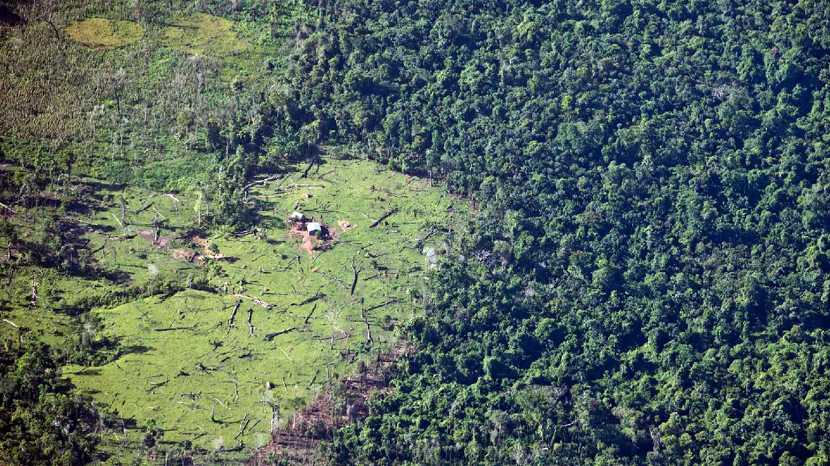 El pedido de la ONU se conoci&oacute; a pocos d&iacute;as de la apertura de la Conferencia del Clima (COP26) en la ciudad escocesa de Glasgow, Reino Unido.