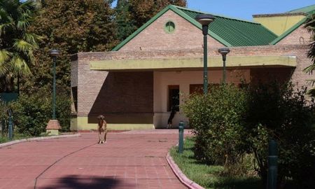 ascienden a nueve los acusados de abusar a chicos sordos en el instituto provolo ascienden a nueve los acusados de abusar a chicos sordos en el instituto provolo