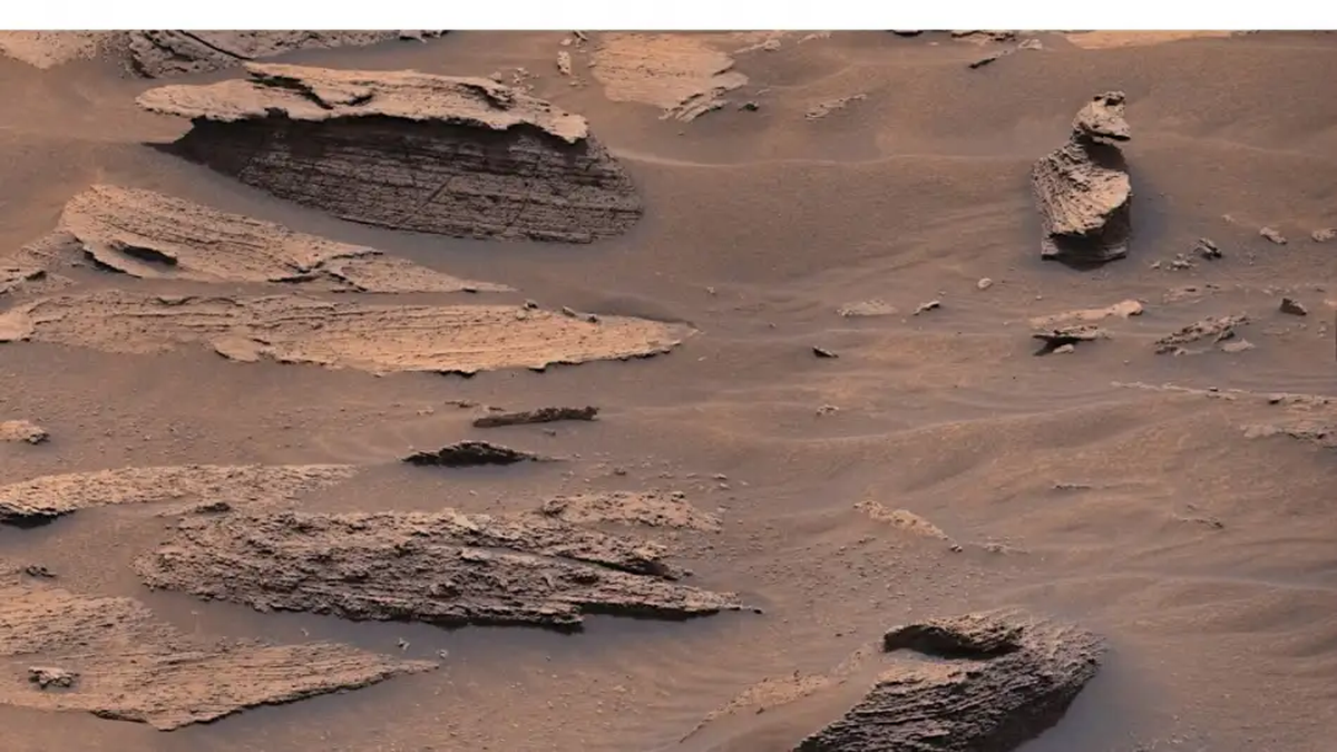 El rover Curiosity de la Nasa descubrió un pato en Marte
