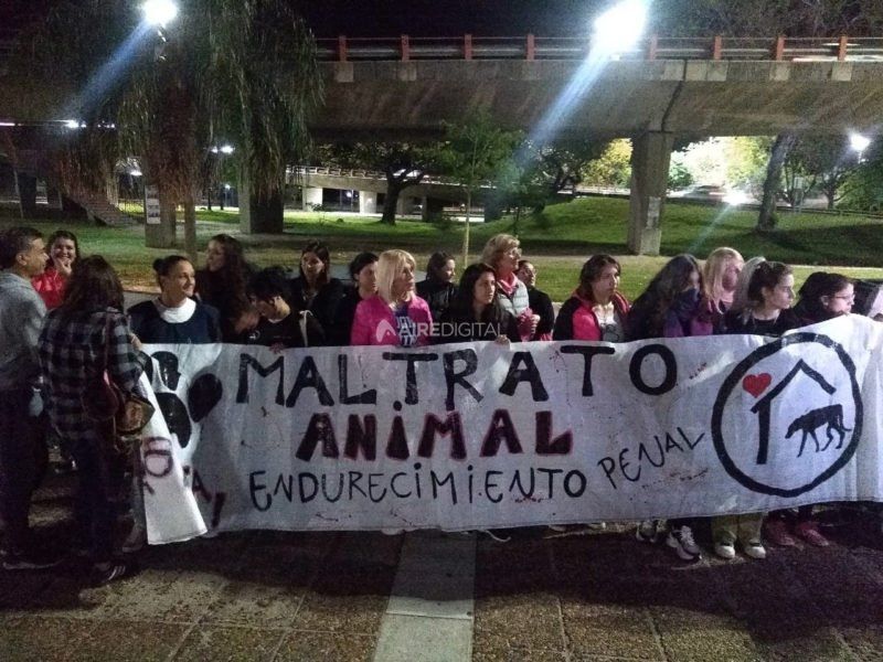 Agrupaciones protectoras de animales se unen para reclamar justicia por el perro ahorcado en Cayastá