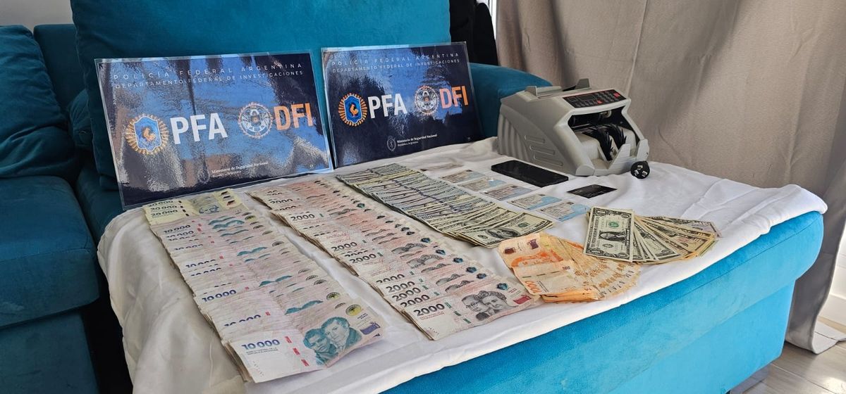 Vivero clandestino: la Policía Federal incautó más de 10 kilos de droga de alta calidad en Rosario. Vivero clandestino: la Policía Federal incautó más de 10 kilos de droga de alta calidad en Rosario.