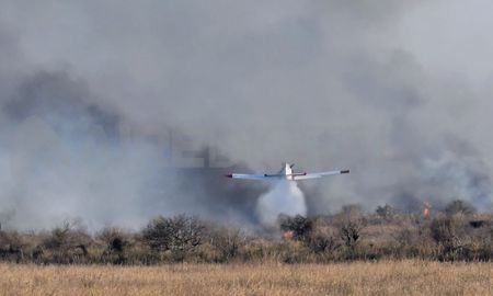 El Delta y las islas del río Paraná son una de las zonas más afectadas por los incendios. El Delta y las islas del río Paraná son una de las zonas más afectadas por los incendios.