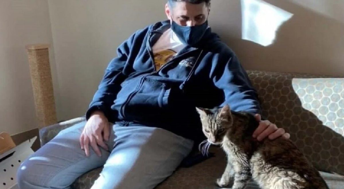 Se reencontró con su gata perdida tras 15 años