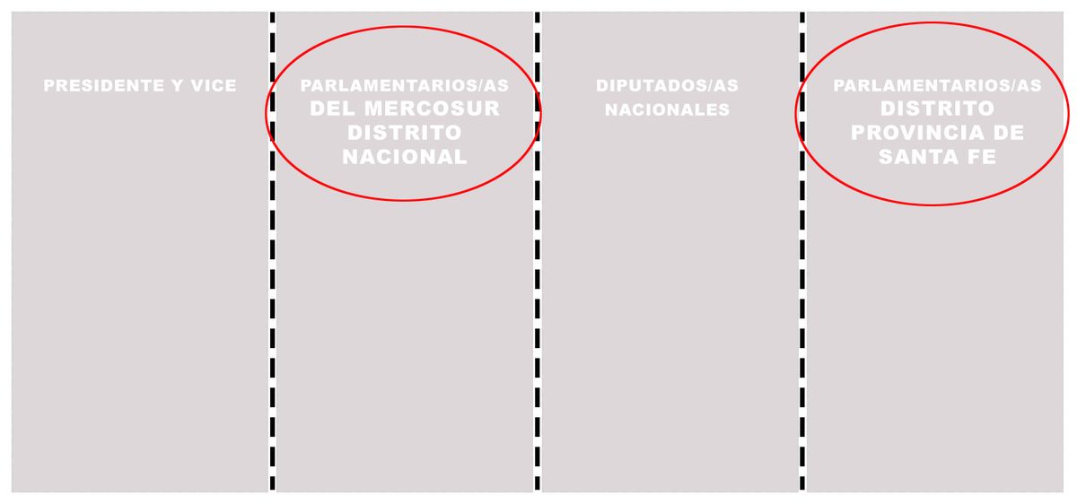 Las dos categorías de las que poco se habla y que se votarán el domingo son: parlamentarios del Mercosur nacionales y parlamentarios del Mercosur provinciales.