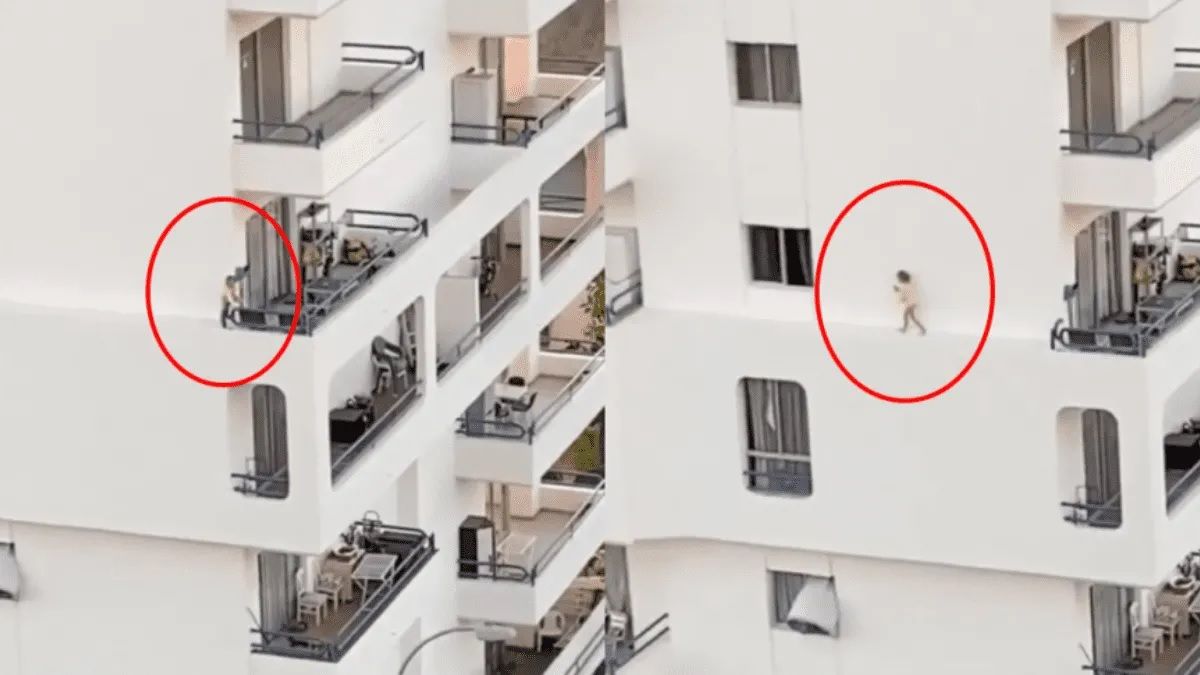 VIDEO: Un niña de dos años caminó por la cornisa y se salvó de milagro