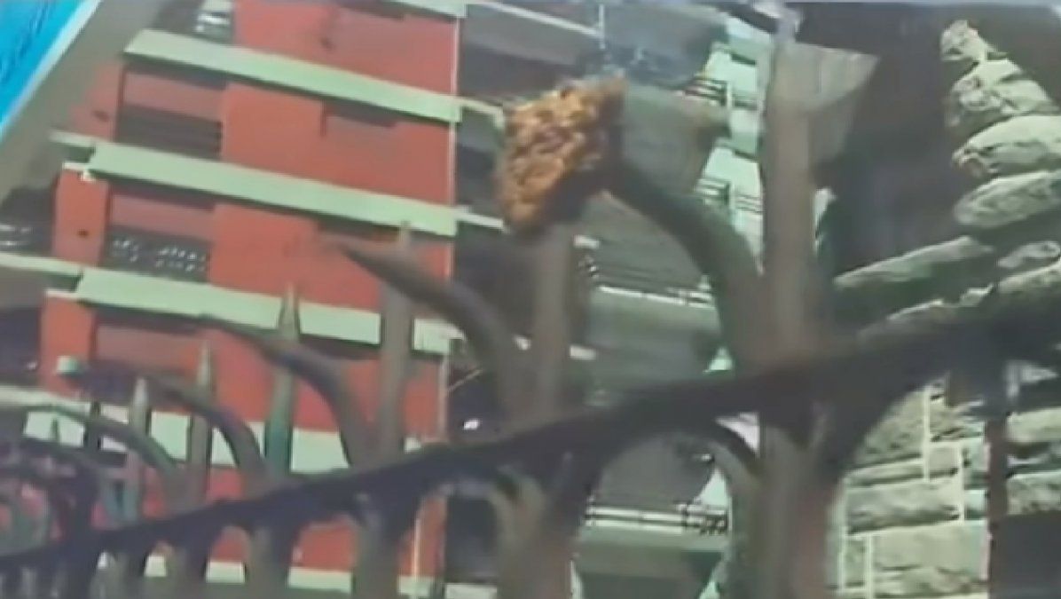 Horror en Mar del Plata: quiso saltar una reja y se la clavó en los testículos