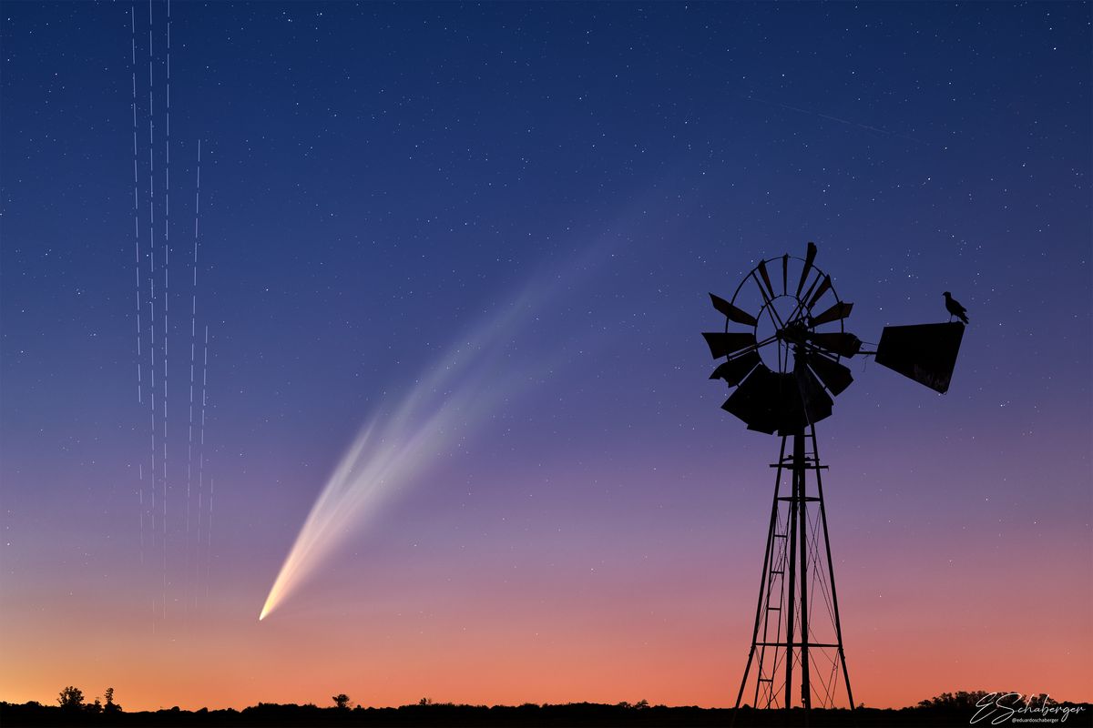 Los satélites Starlink de Elon Musk pasan por el cielo de Santa Fe justo cuando se deja ver el cometa G3 ATLAS. Logra la fotografía el astrofotógrafo santafesino Eduardo Schaberger, premiado a nivel internacional. 