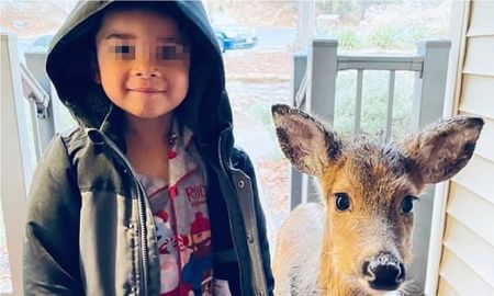 Su hijo de 4 años salió a jugar y volvió con una nueva mascota Su hijo de 4 años salió a jugar y volvió con una nueva mascota