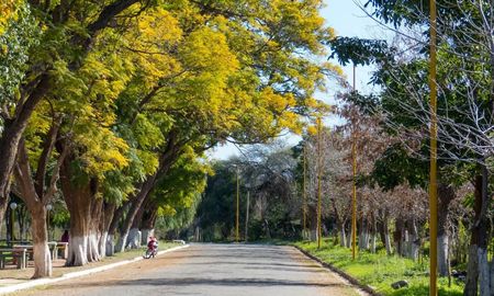 Las capillas coloniales distribuidas por todo el departamento de Capayán testimonian el avance de las misiones y la integración de la arquitectura de adobe en el paisaje vallisto. Las capillas coloniales distribuidas por todo el departamento de Capayán testimonian el avance de las misiones y la integración de la arquitectura de adobe en el paisaje vallisto.