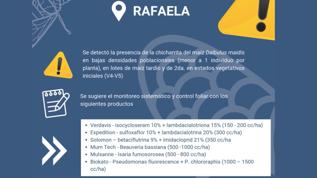 El INTA enumeró lo productos existentes para el tratamiento de los cultivos. El INTA enumeró lo productos existentes para el tratamiento de los cultivos.