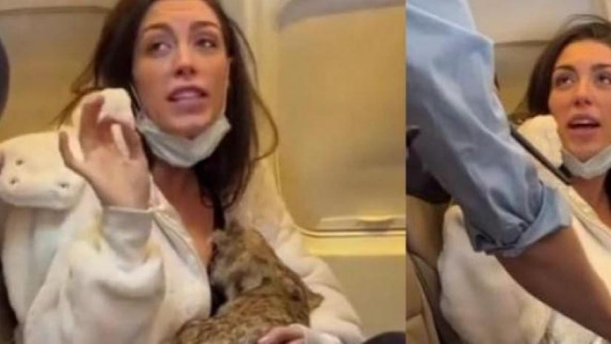 Esta es la verdadera historia detrás del vídeo viral de la pasajera de avión amamantando a un gato