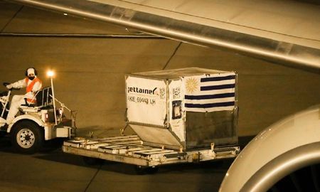 Las dosis de la vacuna de Pfizer llegaron al Aeropuerto de Carrasco, en Montevideo, en un vuelo procedente de Países Bajos. Las dosis de la vacuna de Pfizer llegaron al Aeropuerto de Carrasco, en Montevideo, en un vuelo procedente de Países Bajos.