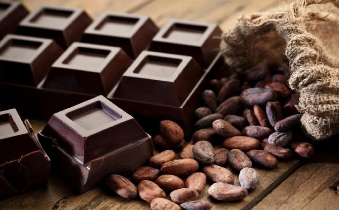 Cómo afecta la ingesta de chocolate negro a nuestro organismo