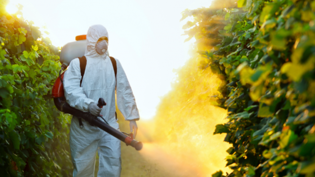 Es necesario eliminar cuanto antes la mayor cantidad posible del tóxico, para evitar su absorción y la contaminación del personal sanitario. Es necesario eliminar cuanto antes la mayor cantidad posible del tóxico, para evitar su absorción y la contaminación del personal sanitario.